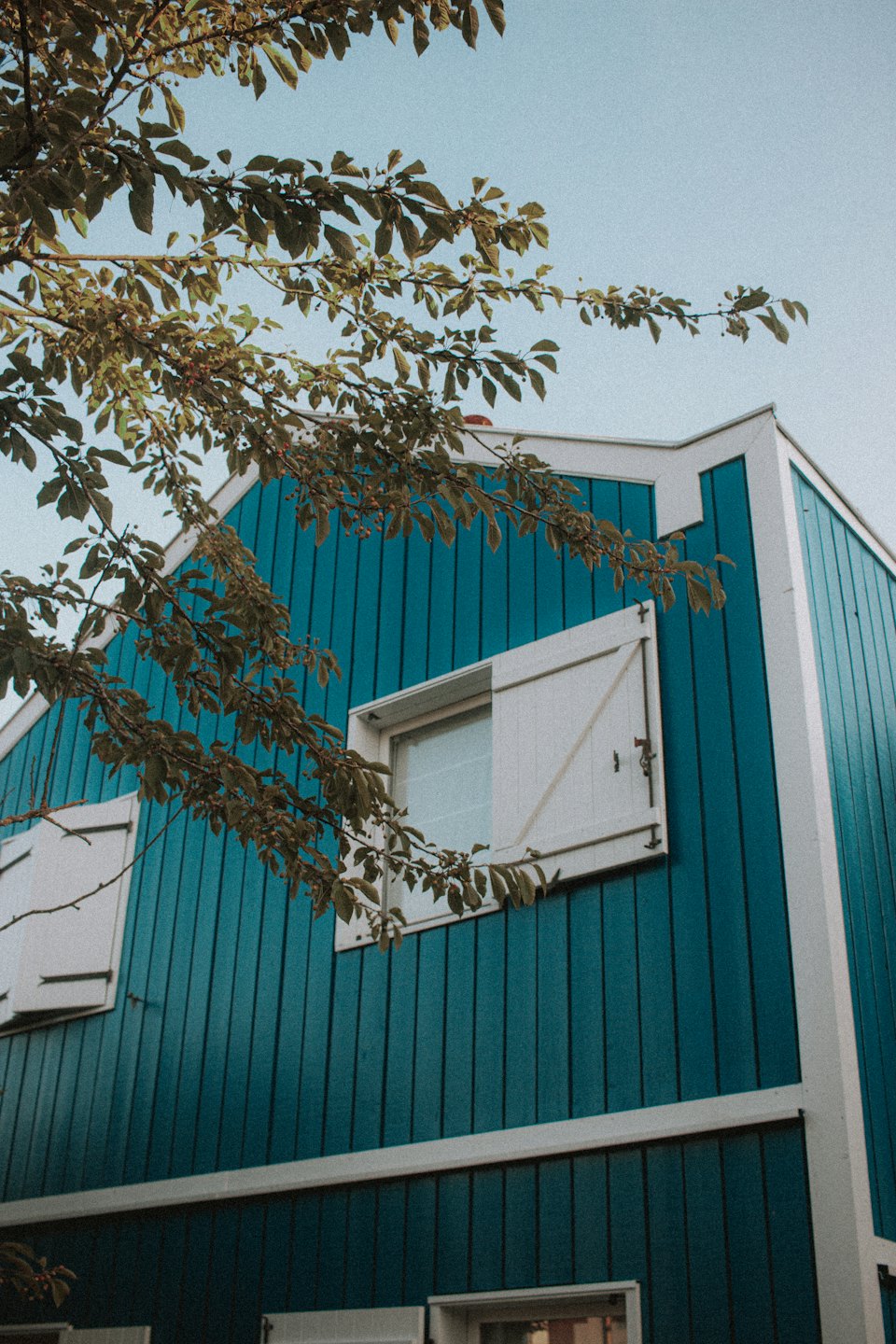 Blue house with white trim and shutters framed by trees.
